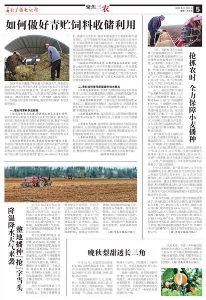 ����㲥���ӱ��۽���ũ