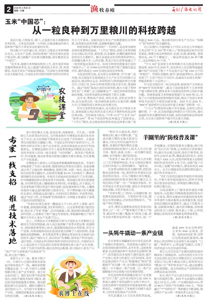 ����㲥���ӱ�������ֳ