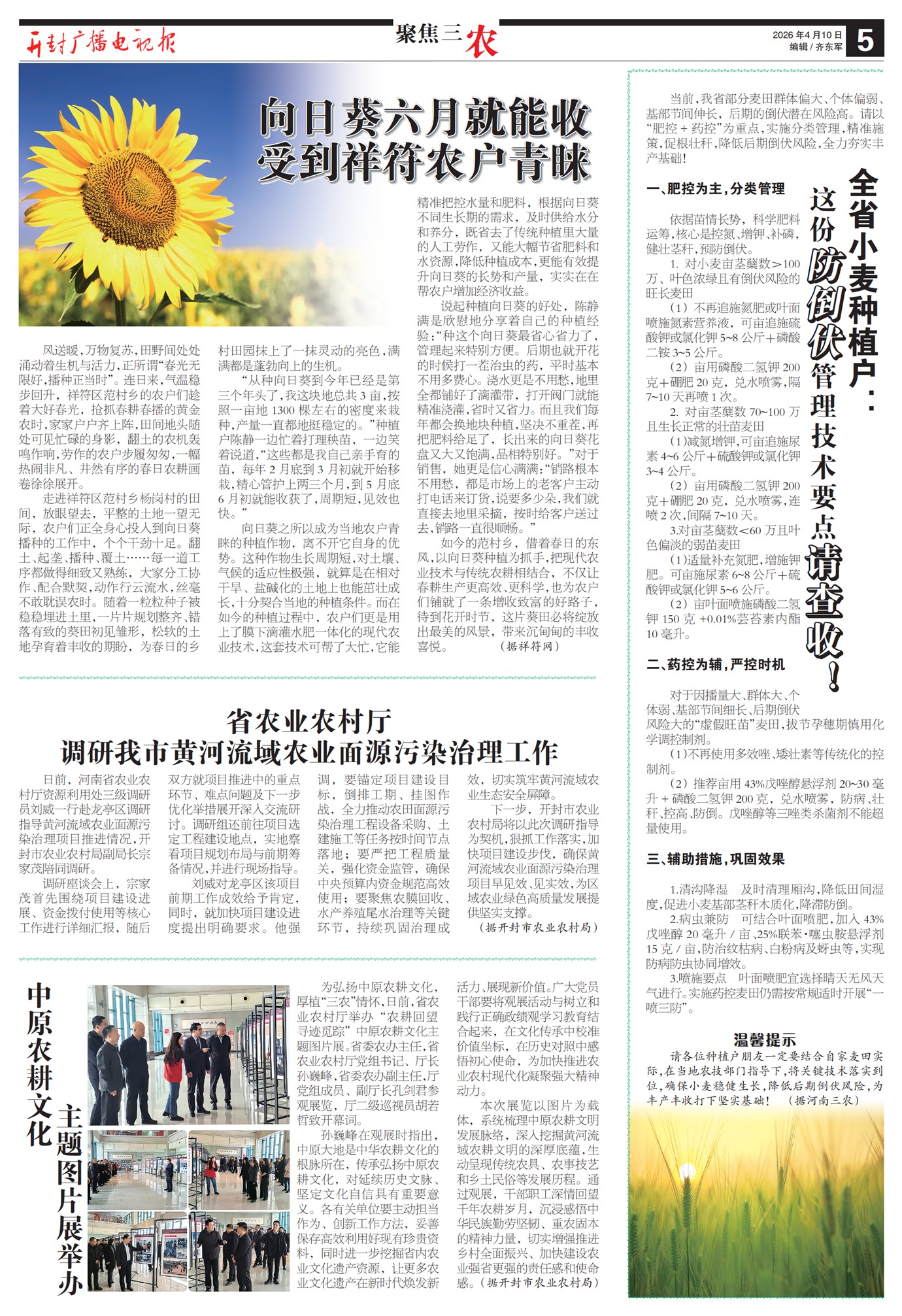 ����㲥���ӱ��۽���ũ