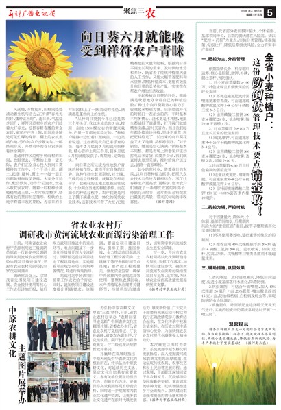 ����㲥���ӱ��۽���ũ