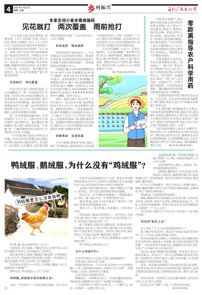 ����㲥���ӱ��������